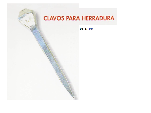 Clavo de herrar Clavo de herrar